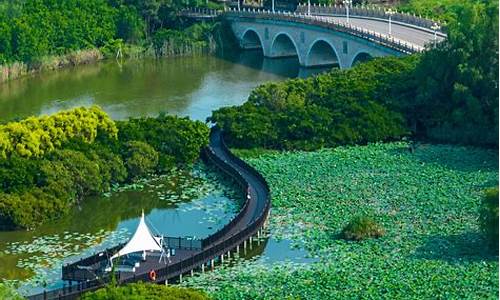 南沙湿地公园好_南沙湿地公园好玩不