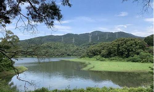 厦门天竺山森林公园哪个门进去比较好玩_厦门天竺山森林公园哪个门进去比较好玩的