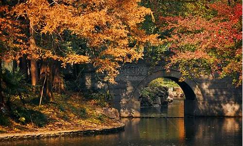 共青森林公园风景区_共青森林公园风景区介绍