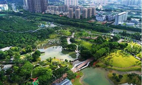 深圳中心公园怎么_深圳中心公园怎么去